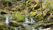 PICTURES/Fundy National Park - Dickson Falls/t_b-Little Falls2.JPG